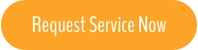 Request Service Now